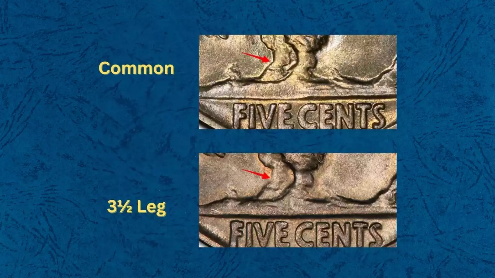 1927 Buffalo nickel 3½ Legs error showing partially missing front leg on the buffalo reverse