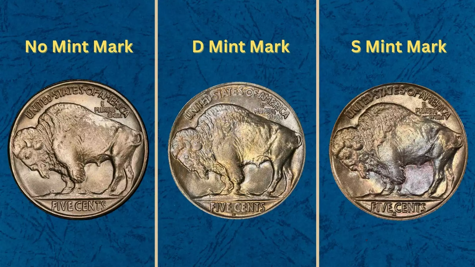 Group of 1927 Buffalo nickels showing Philadelphia, Denver, and San Francisco mint mark varieties together